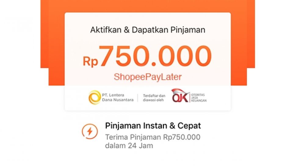 shopee paylater